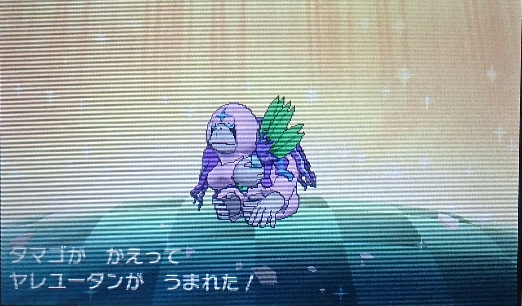 ヤレユータン 色違い