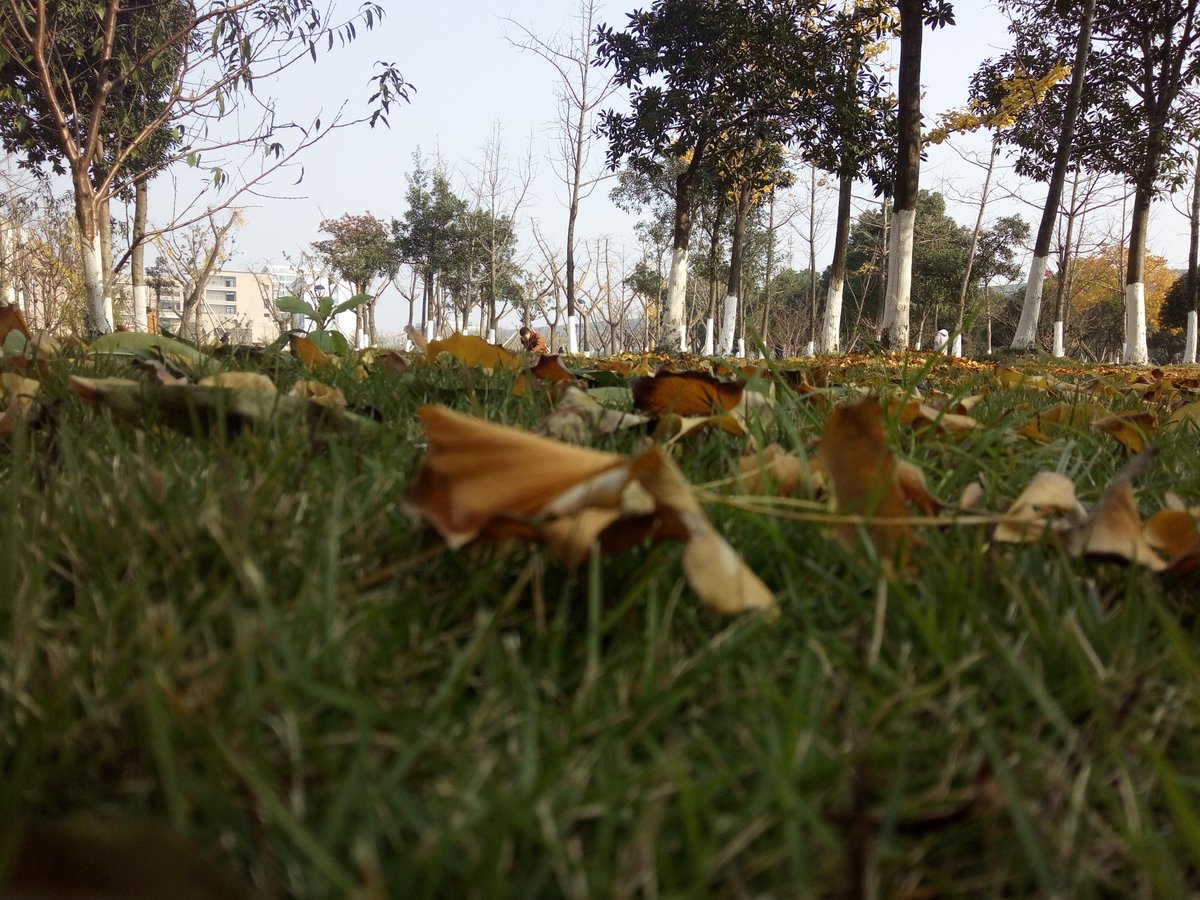 HTBB33's tweet image. 