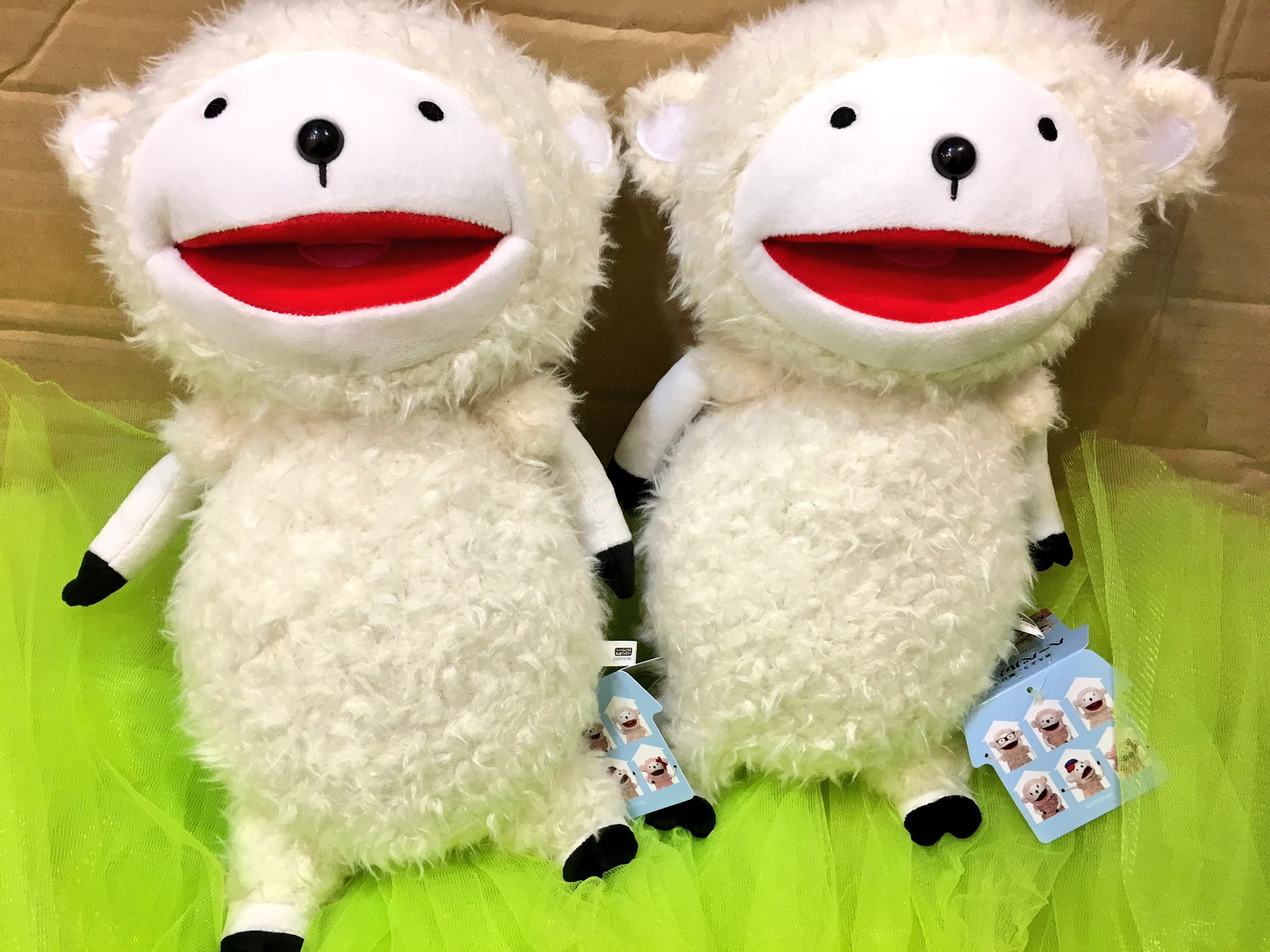 サンキューマート福岡天神新天町店 Na Twitteru ヘーベルハウス ヘーベルハウスの ラム君 のぬいぐるみ入荷致しました もふもふ ふわふわ なさわり心地でとってもｷｭｰﾄです もちろん390円 毎日がバーゲン価格です 欲しいと思ったらrt