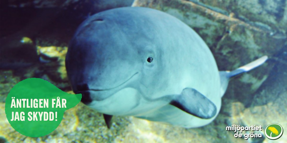 Miljöpartiet tweet media