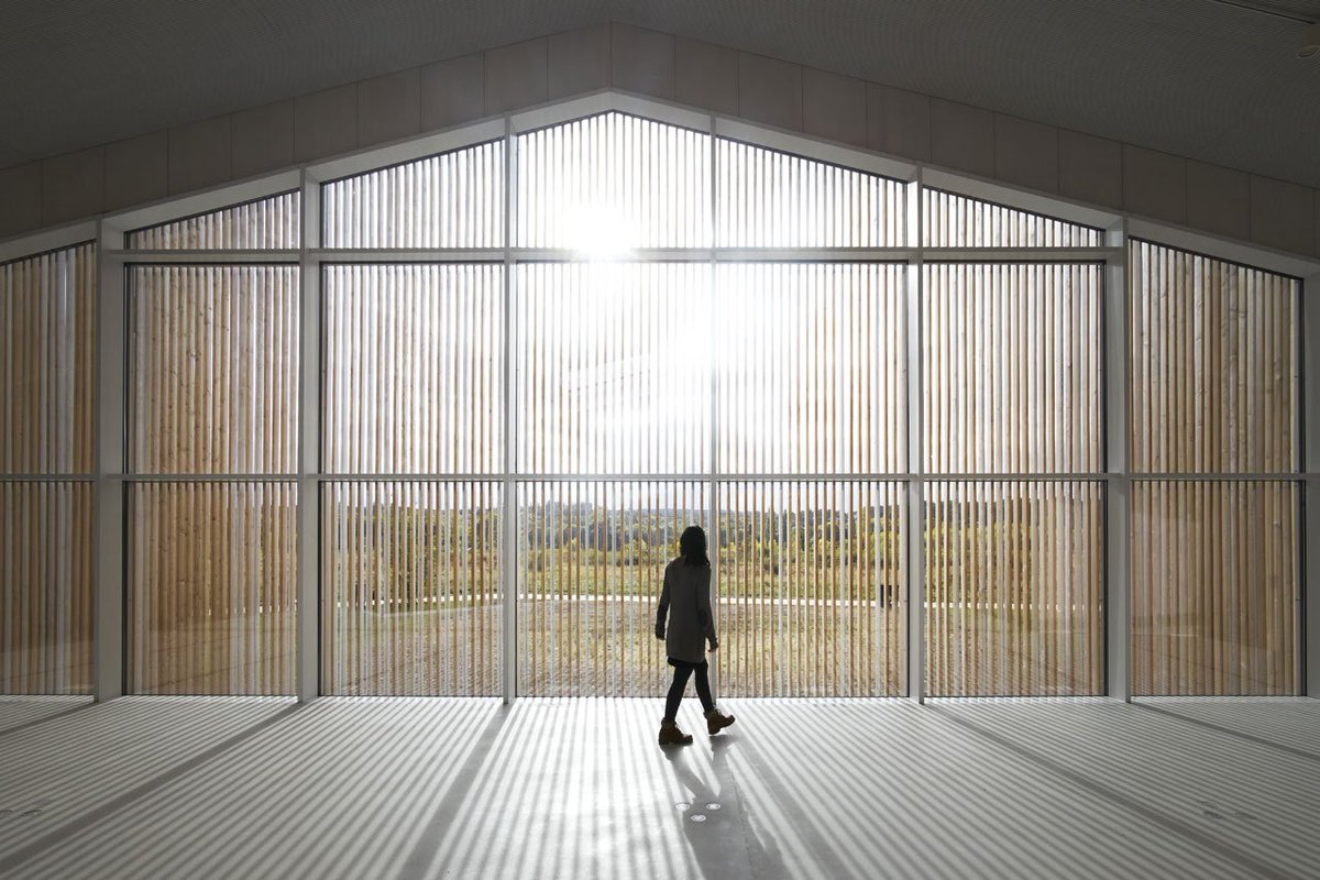 DomusWeb tweet picture
