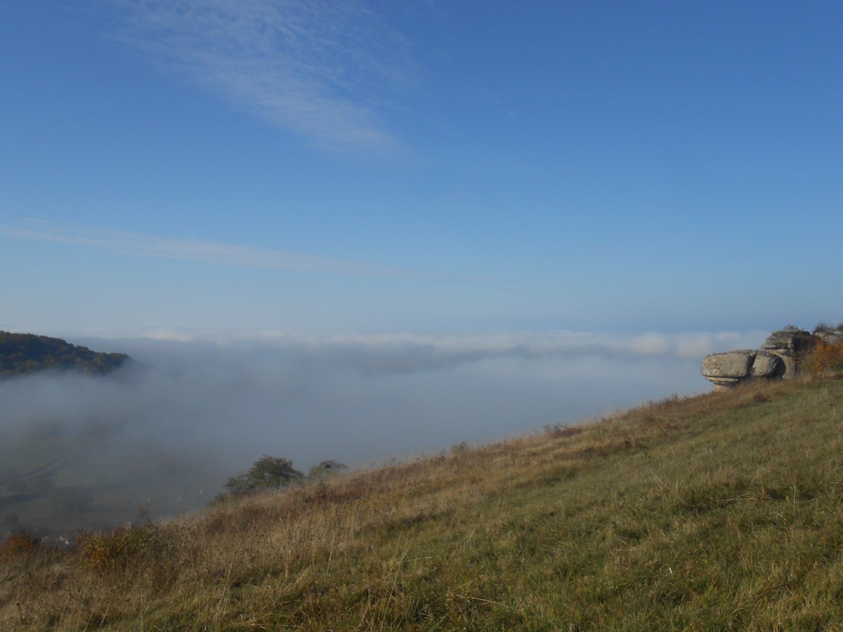 la Haute-Saône sous la brume plusbonquenature.fr/chariez-camp-d…