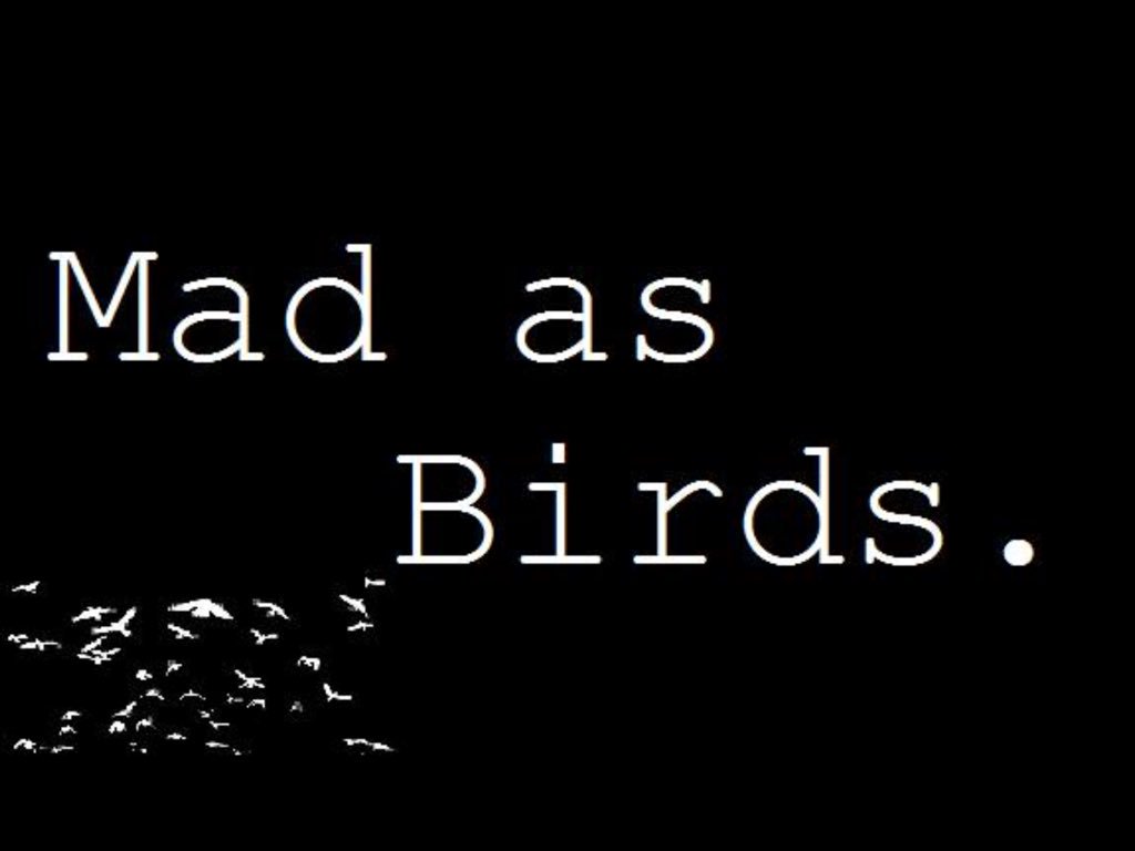 Tonight's the night! 'Mad as Birds ! #poetry #acoustic music , #beer , #wine  Doors open 7pm (over 18's) all
Welcome