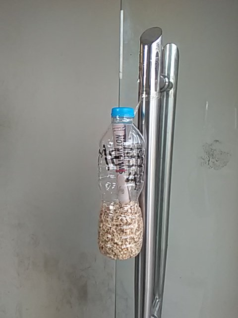 HajjraSatti's tweet image. #SaluteToAPSmartyrs
Message of the students in the bottle 
Tribute to martyrs 
#NUST
#S3H