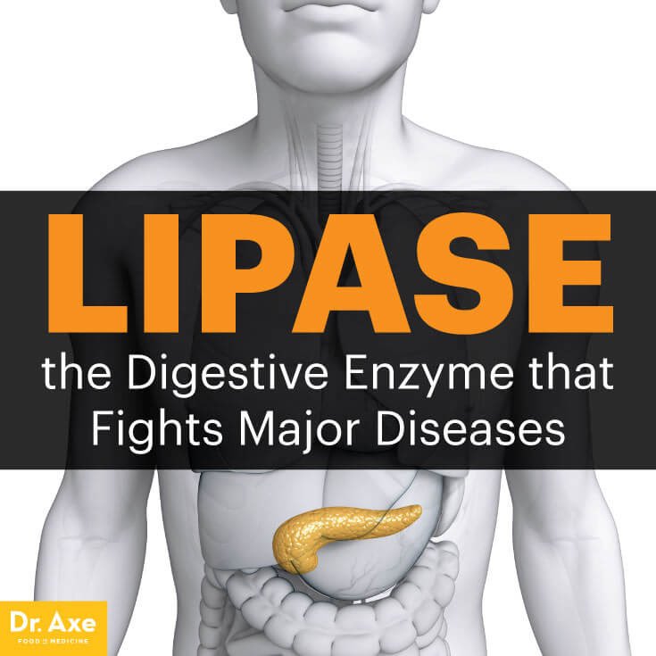 HHelicase's tweet photo. Join our fight against major diseases!💪🏻 https://t.co/tTFp779VZs