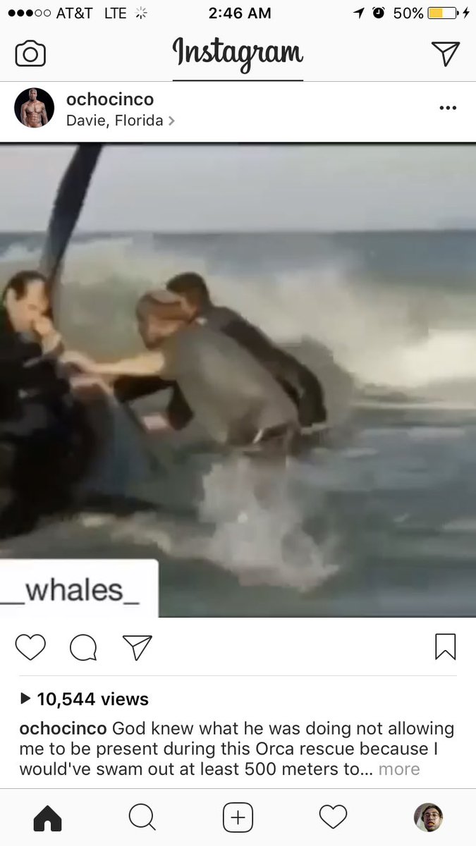 fact of the day: chad ochocinco really likes orcas