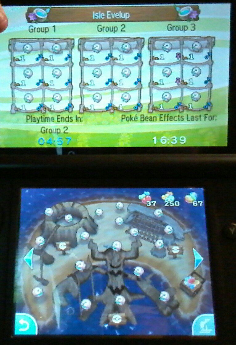 PokemonGameGirl's tweet photo. #Rowlets. Rowlets everywhere. OvO https://t.co/0kxU8lyTrf