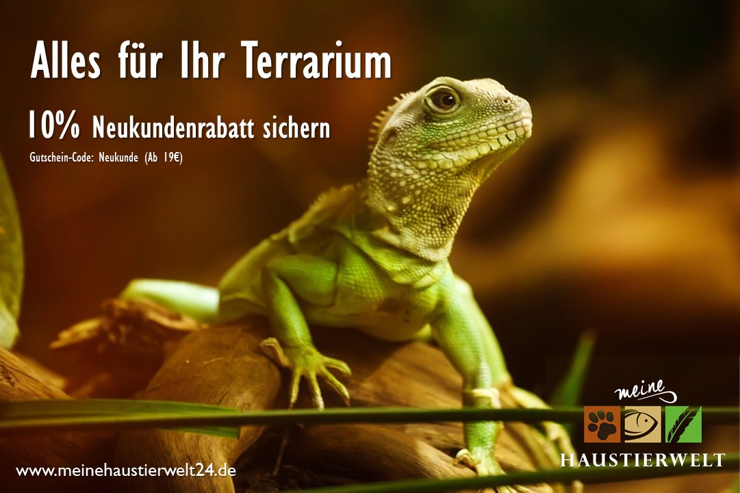 Meine Haustierwelt (@haustierweltpot) on Twitter photo 