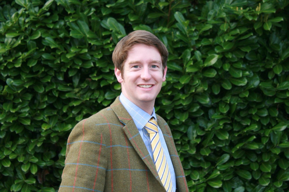 Davidson & Robertson tweet media