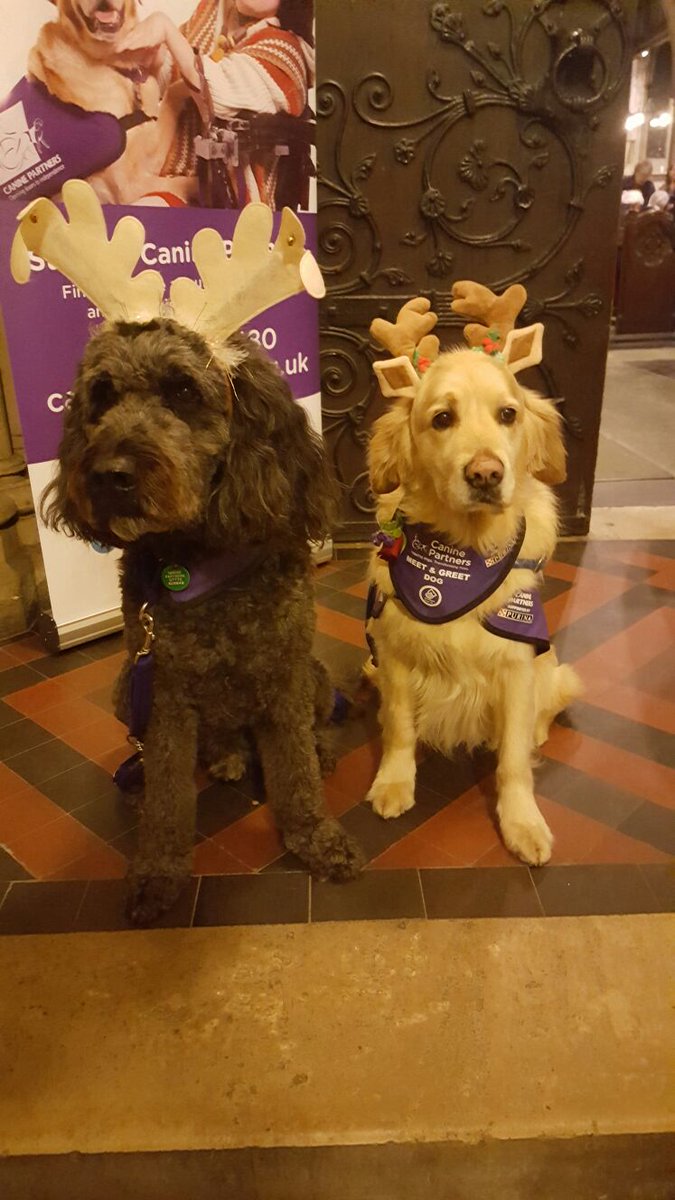 What a wonderful festive evening at the <a href="/canine_partners/">Canine Partners</a> Carol Service, these dogs truly are AMAZING!