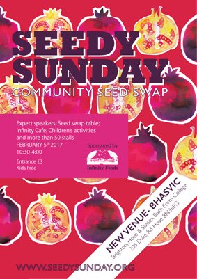 SeedySunday Brighton tweet media