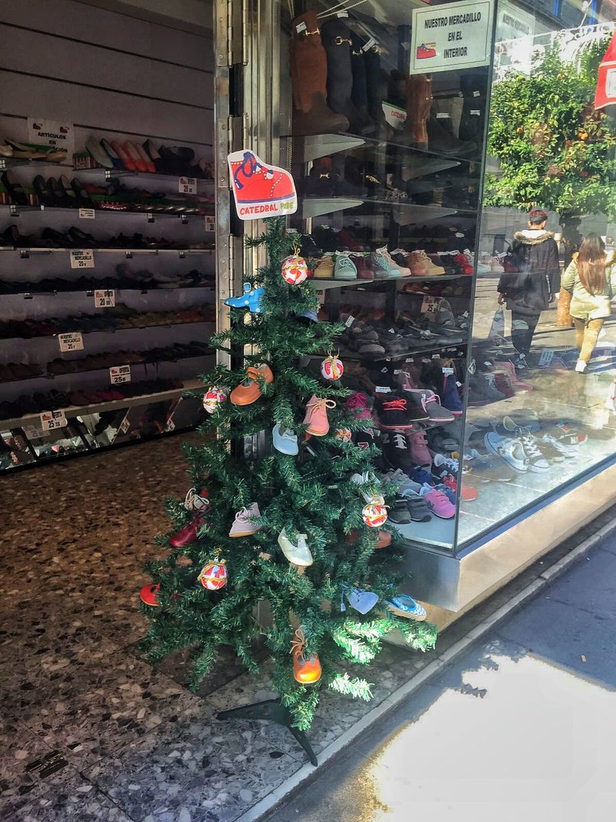 catedralpibe's tweet photo. ¡Nuestro arbolito ya está decorando la Av. De la Constitución!

#calzadoscatedral #sevilla #tdsactualidad https://t.co/1mRW3gq6fe