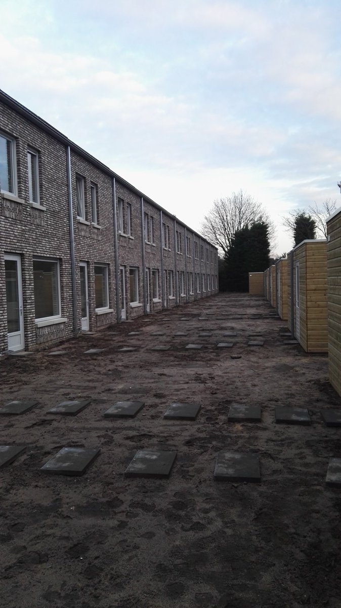 Adrie Hoskens tweet media