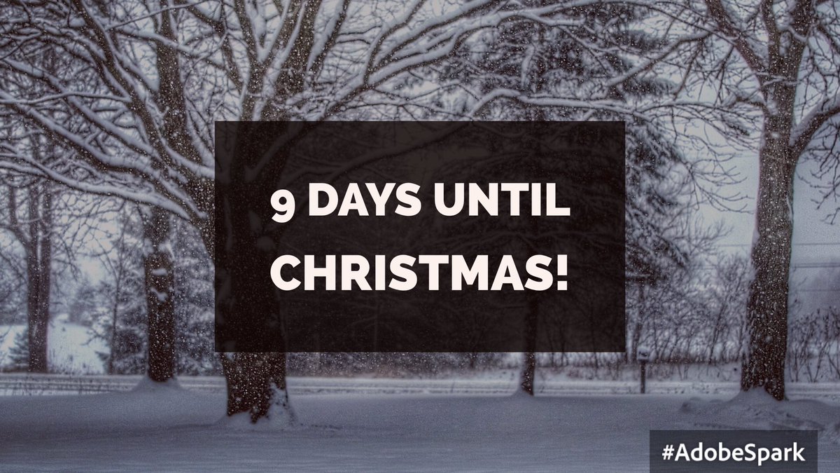 ccard3dev's tweet image. 