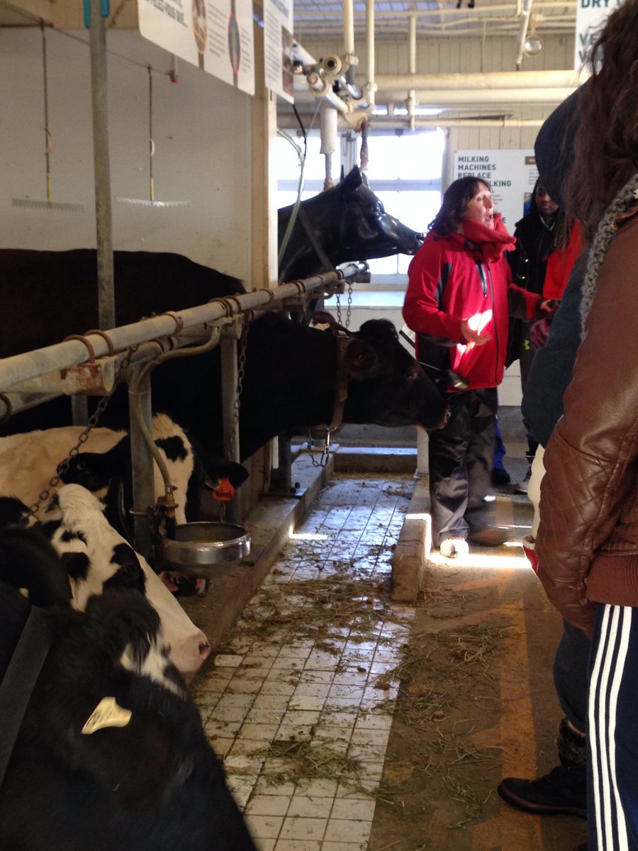 c_scientifique's tweet photo. Les élèves de la @c_scientifique à la ferme expérimentale pour discuter de la génétique et de la sélec. artificielle des vaches. @MuseeAgri https://t.co/rvPWzfs6cL