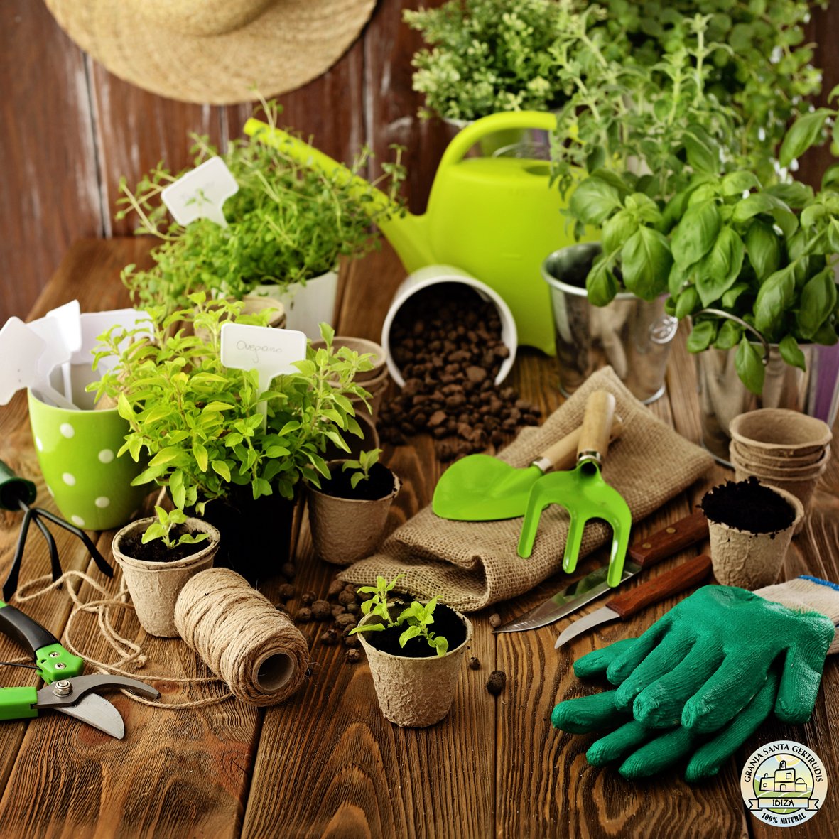 Descubre nuestros servicios de jardinería.
Para más info: 971 18 73 87
#granja #jardinería #green #garden #farm #Ibiza