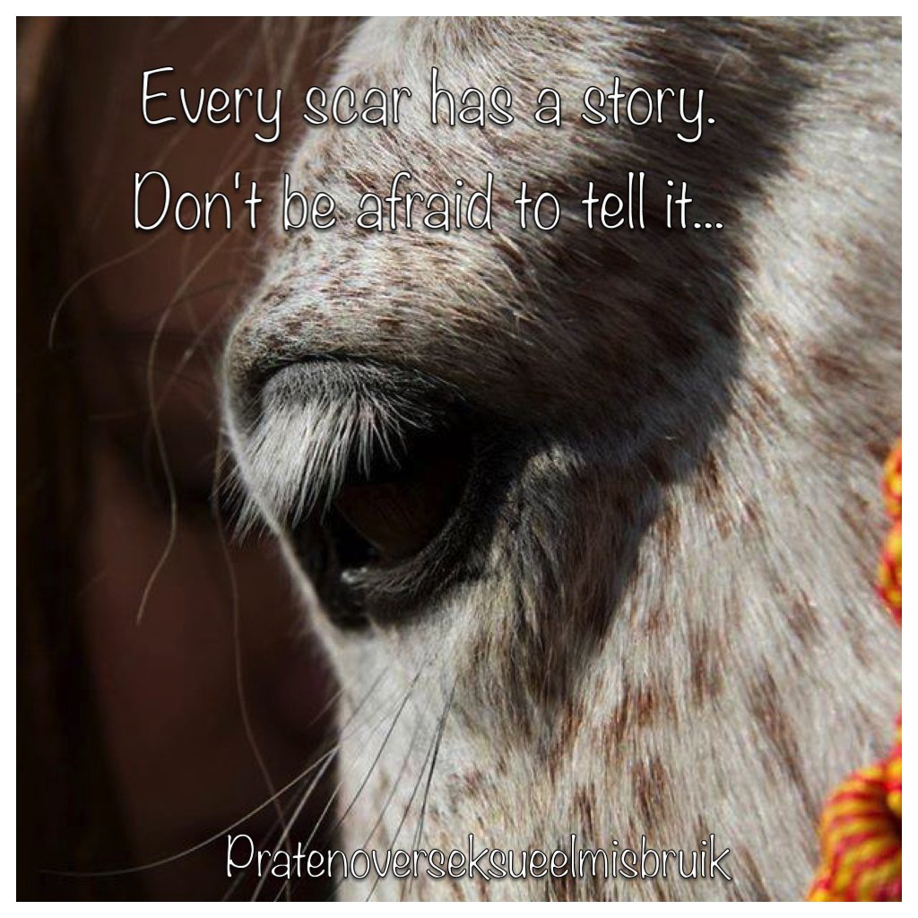 MissieMisbruik's tweet image. Paarden laten je op een bijzondere wijze zien wat er nog diep weggestopt zit bij je. #Crefmethode #EMDR #healing #praktijkmanipura #sgstorm