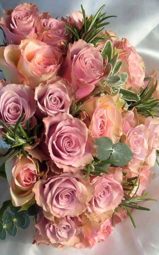 ZEYNAZERDA's tweet image. 