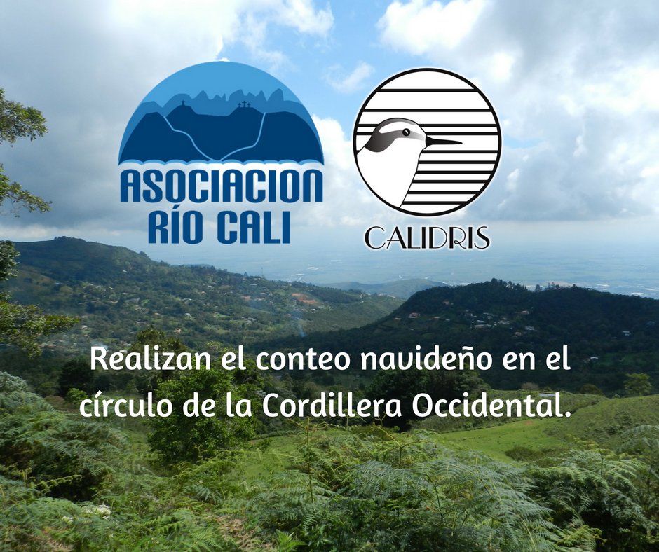 Asociación Calidris tweet media
