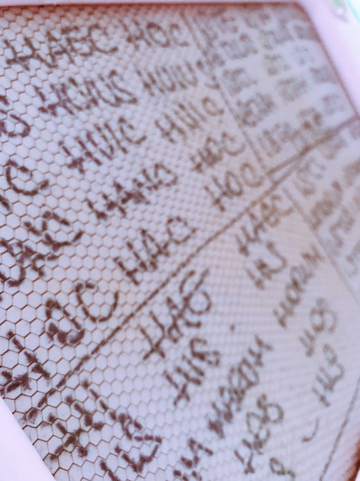 latinoooooo https://t.co/lPjSblnp5i<a href="/tag/estate2017"class="tags"><span>#estate2017</span></a>