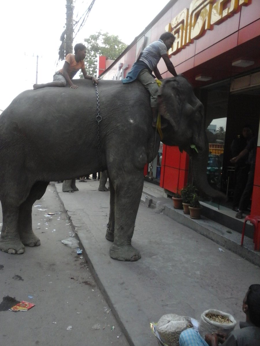 24Labib's tweet image. !!!!**এটা কি ডিজিটাল বাংলাদেশ**!!!!