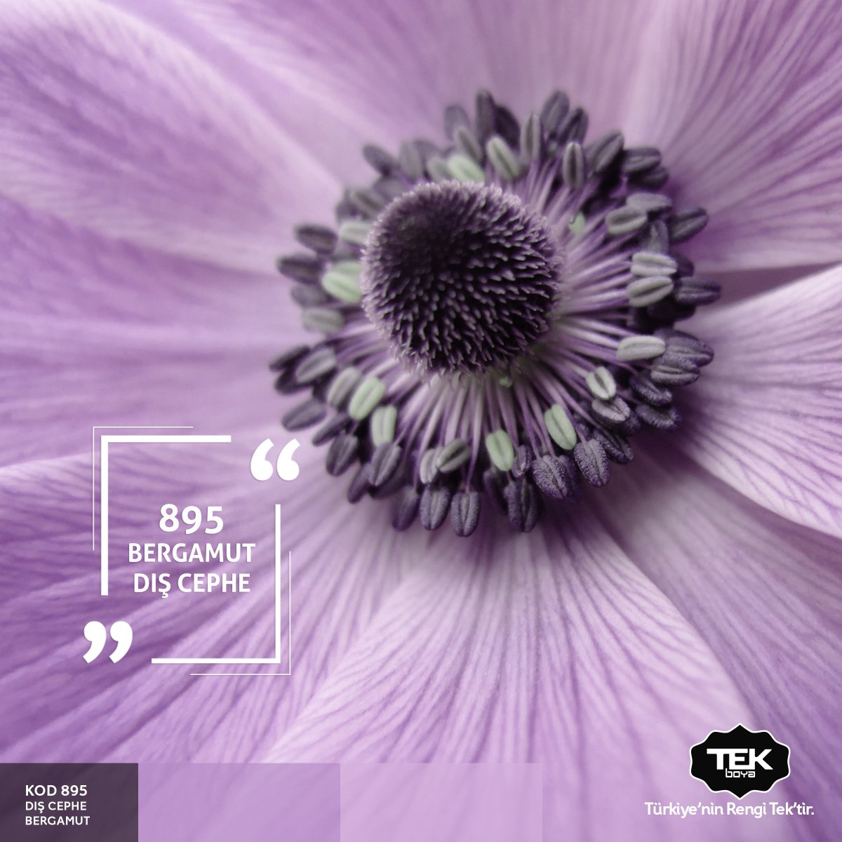 Tek Boya (@tekboya) on Twitter photo 