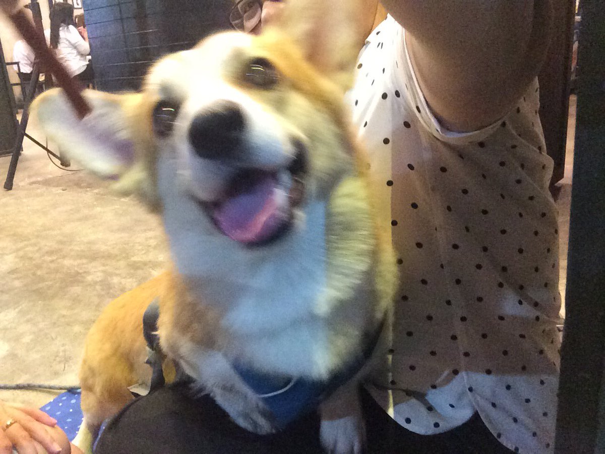 pee_dar's tweet photo. ปร้าอ๋อยฮะ ป้อนสูงไปฮับ 🙀🙀 #rfei @aoy_dara https://t.co/kTmjjzIkwh
