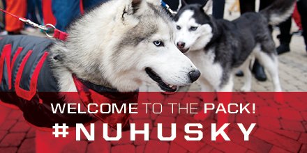 NUAdmissions's tweet photo. @adelcampo_22 @Northeastern Welcome to the pack, Angelica!! https://t.co/jrnC54yn1U