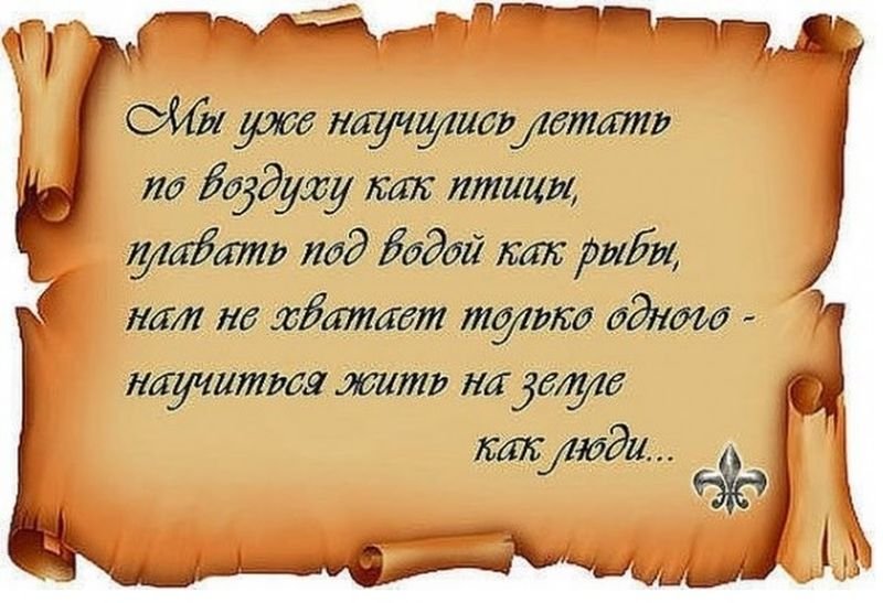 Анна Хромова (@hanna_hrom) on Twitter photo 