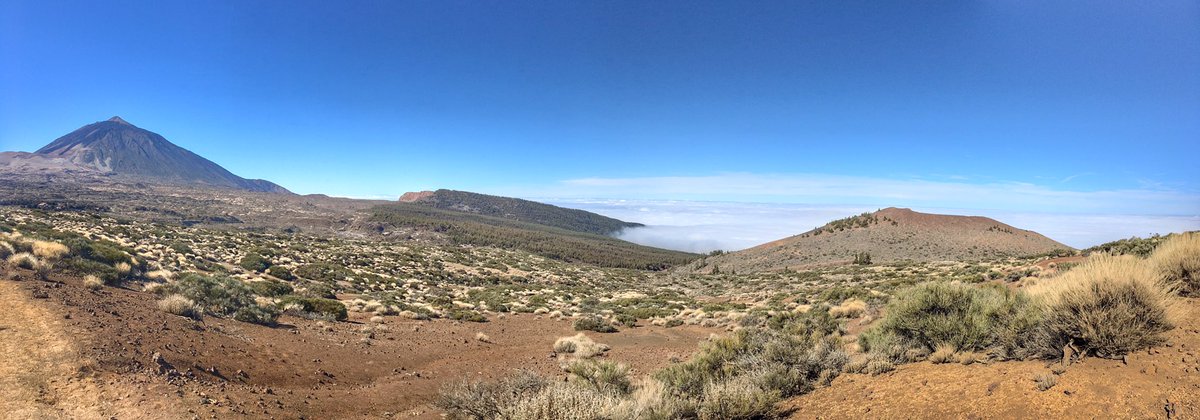 Hinnemann's tweet photo. Über den Wolken 🏔! 

#atastyhike #reiseblogger #blogger #teide #teneriffa https://t.co/9VGplFZxRf