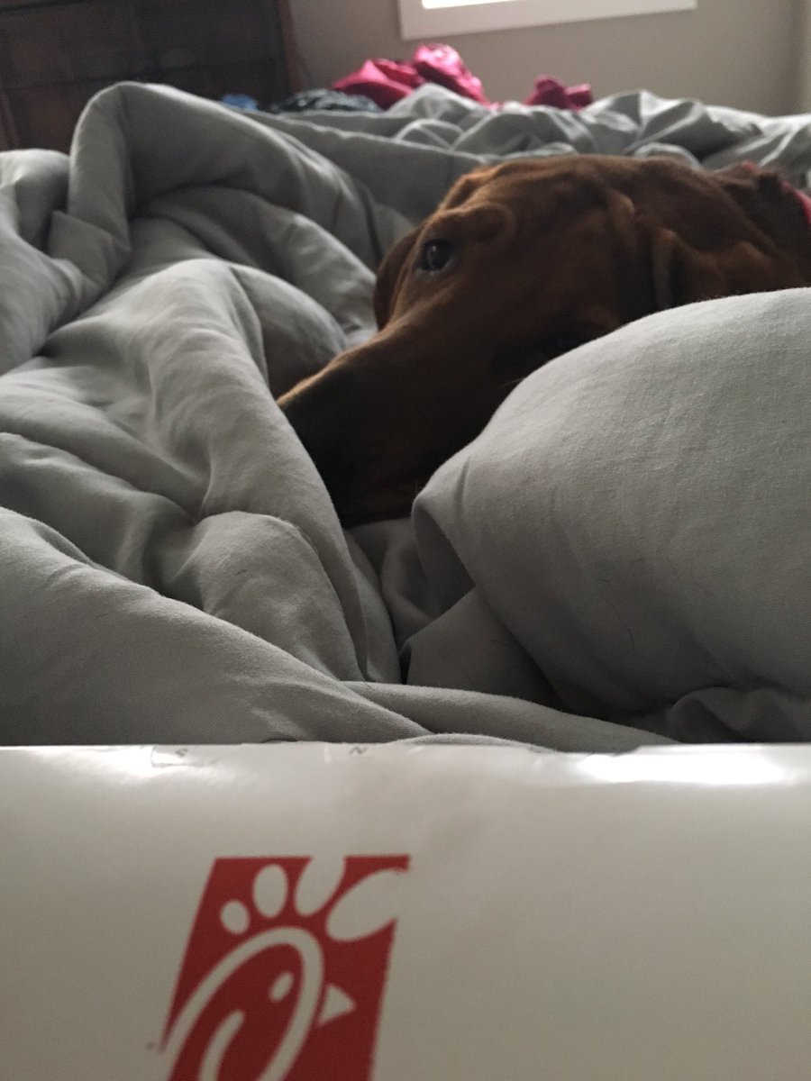 gabbyhunterr's tweet photo. No sorry. I don't share chick-fil-a https://t.co/X2FGRhRXNU