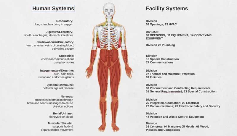 ICYMI: <a href="/BennettBuild/">Christopher Bennett</a> &amp; <a href="/DuBuddy/">Bill DuBois</a> compare MasterFormat to your body, construction to your life, concrete to everything buff.ly/2hKedCw