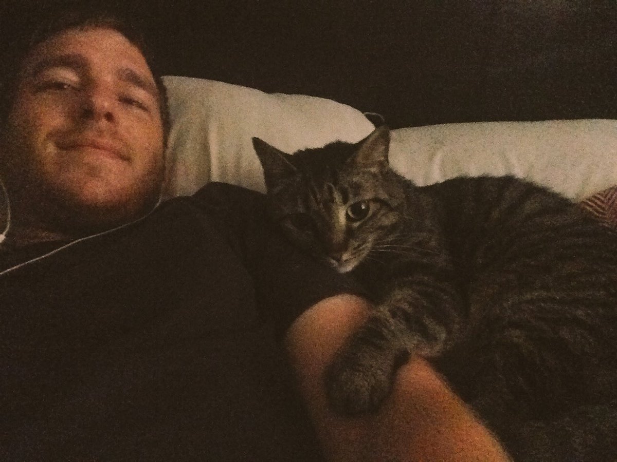 dan_seeka's tweet photo. @SeekaDesigns happy Owen or pissy Taneka which Seeka meowdel is your favorite ?!
#becausecats #cuteanimals https://t.co/jJ63WFiToA