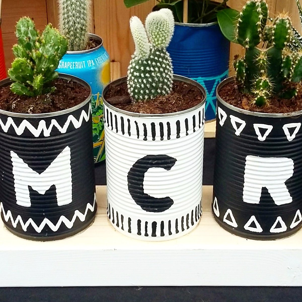 shrubbiesplants's tweet photo. We will be @_makersmarket #Chorlton &amp; #spinningfields Saturday and  #WestDidsbury &amp; #spinningfields Sunday! Last markets of 2016! 🎄🌎🍺🌵🌱🎉 https://t.co/gWngrN6eK4