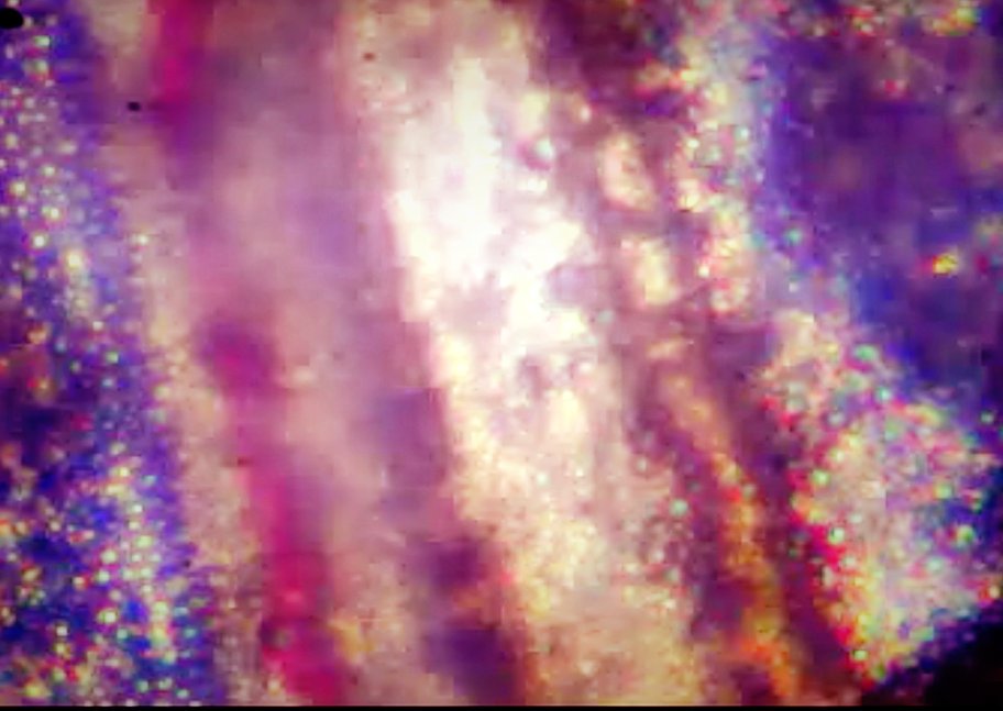 magnificentwenz's tweet image. MicroBio mode with my own buddy #CelestronMicroscope