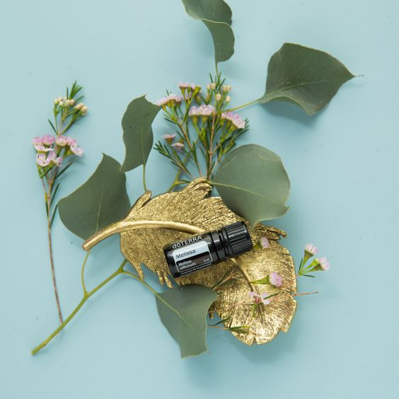 OilsByStephanie's tweet photo. For possible support your body’s immune system, place one to two drops of Melissa essential oil under the tongue or on the roof of the mouth and then swallow.

Directly placing an appropriate quantity of Melissa essential oil into your mouth is an easy a… https://t.co/SxdDlBjQU6 https://t.co/FptWYC1Yen
