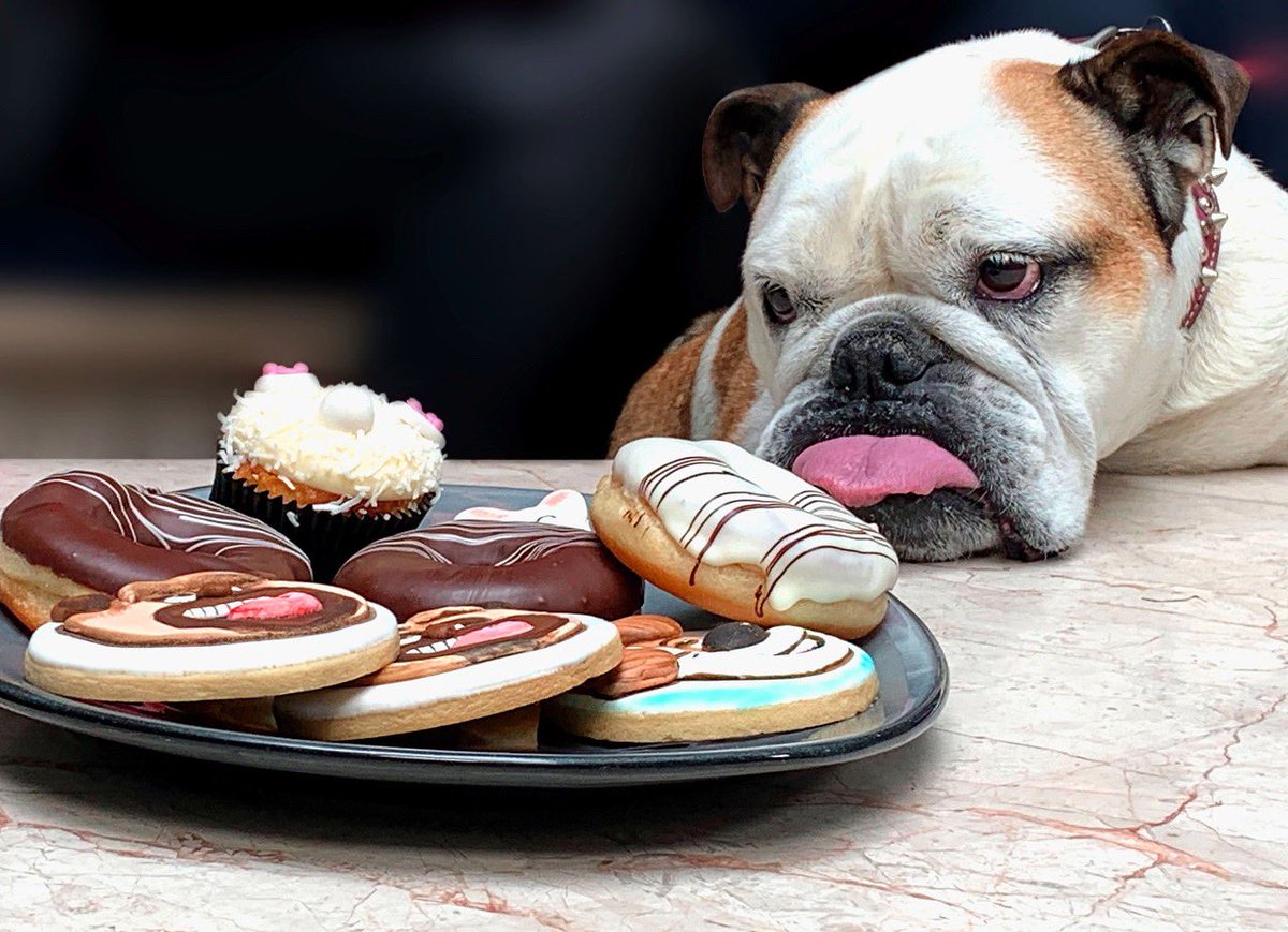 EugenioDerbez's tweet photo. Yo, cuando estoy a dieta / When I’m on a diet… https://t.co/tLa8HumTmq