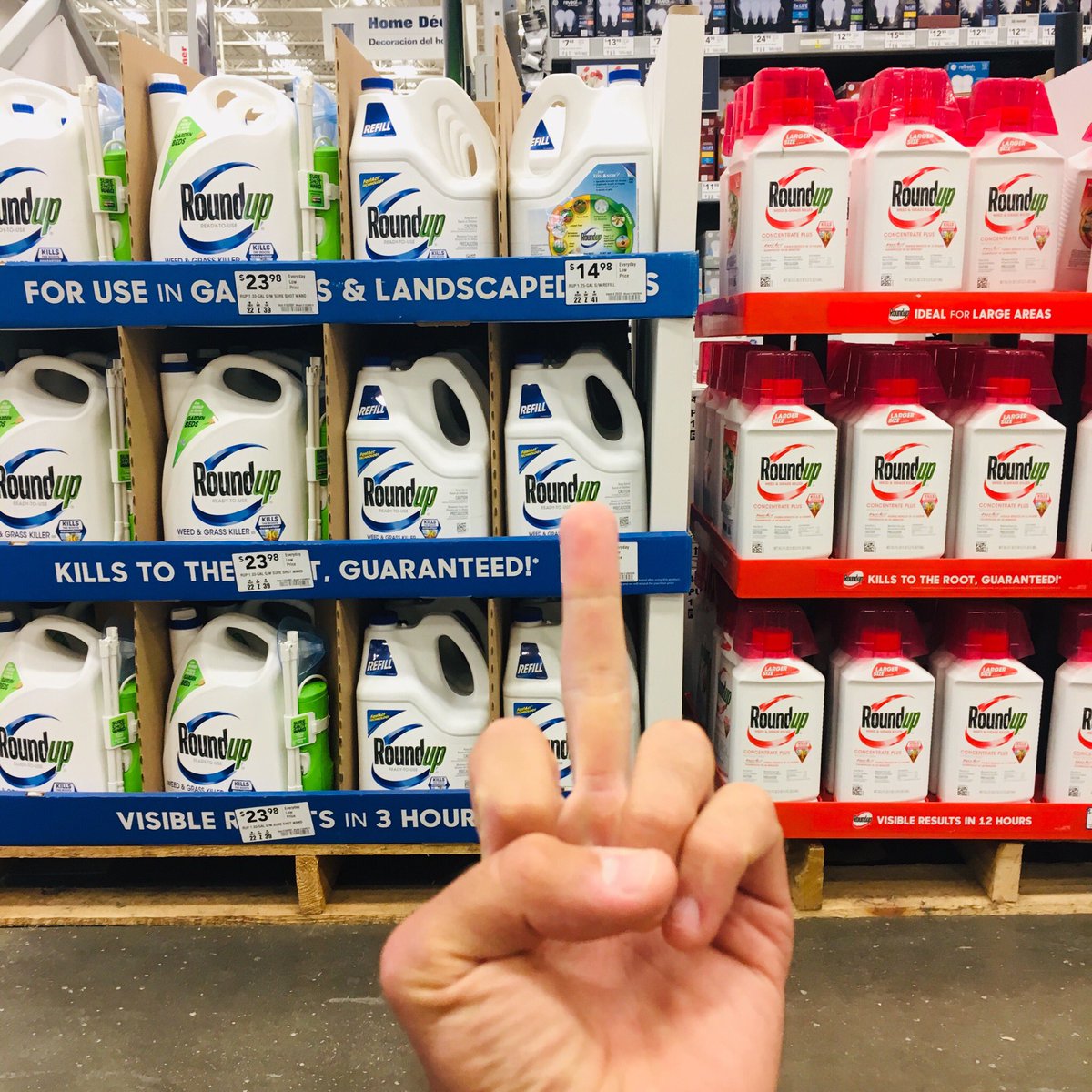 ZackFord2021's tweet photo. #pesticide #RoundUp #savethebees #waterislife #Monsanto #grassroots #meditation #organicfood #organic #NewYork #GreenNewDeal #AOC #warriorup #bees #watercrisis #pollution #activist #mayor #yoga #meditation #Skaneateles #Syracuse #healthcare #health #yard #pollinators #CrystalLake https://t.co/nVCr38Nwz8