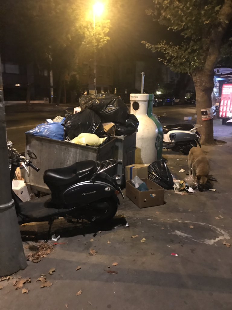 Sarıyer ve İstanbul’un incisi Yeniköy’ün anlık durumu. Bütün konteyner alanları benzer ve daha köyü durumda. Her yer çöp kokuyor. Bu pislik istikrarı için belediyeyi tebrik ediyorum.