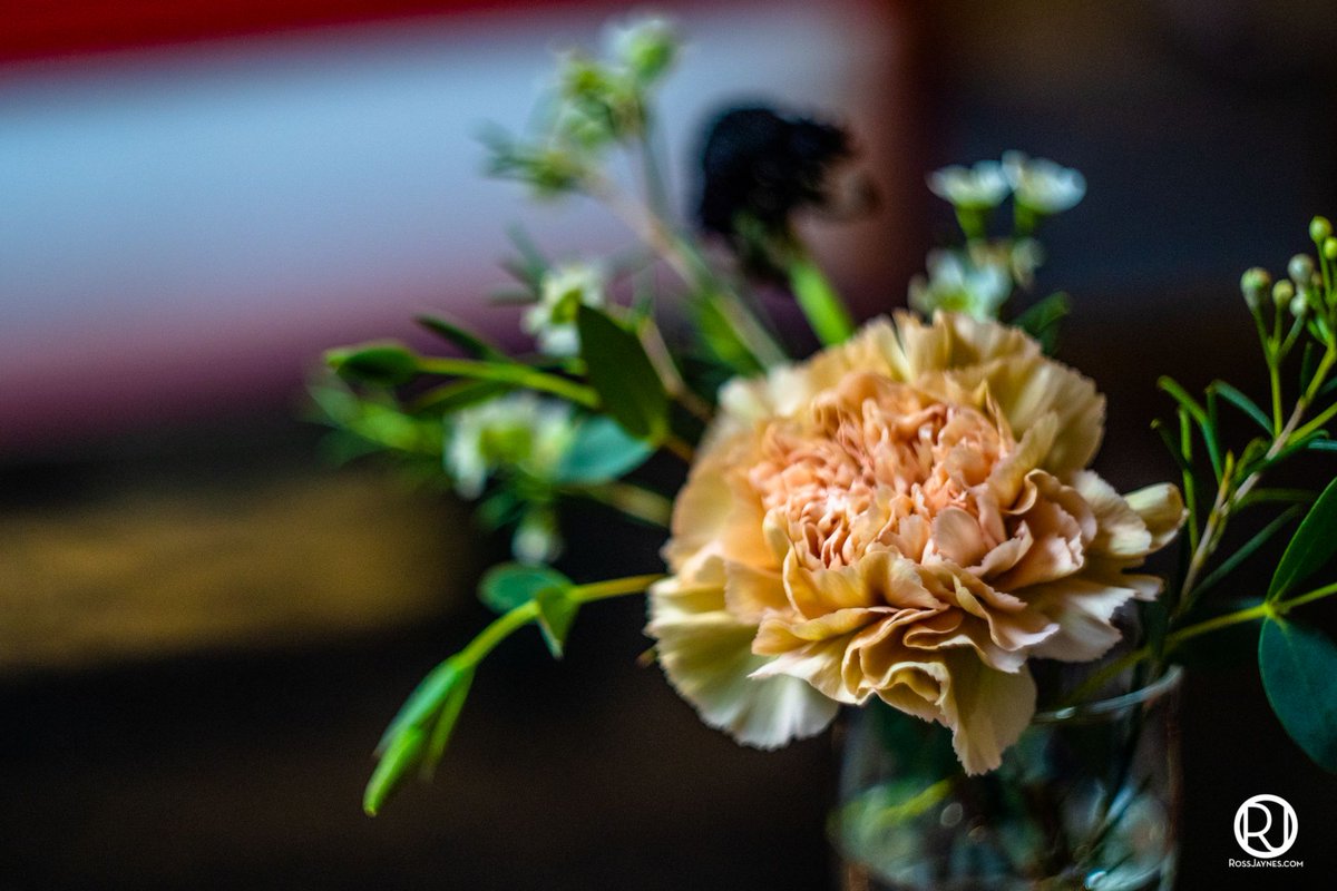 RossJaynes's tweet image. Friday Night Arts at CAB! See more at RossJaynes.com. buff.ly/2YsqBbZ

#Arts4Columbia #ColumbiaArtsBuilding #VisitColumbiaTN #RossJaynes #JAYNESMEDIA #MauryCountyNow #MyColumbiaTN  #MyColumbiaTN