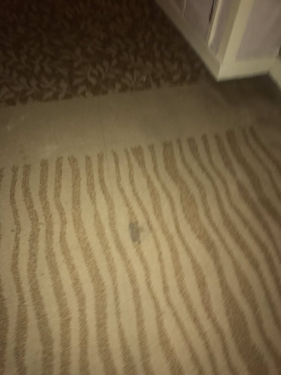 emilysarves's tweet image. This is just from me walking to one side of the 2nd floor to the other #digusting @ShangriLaGSH