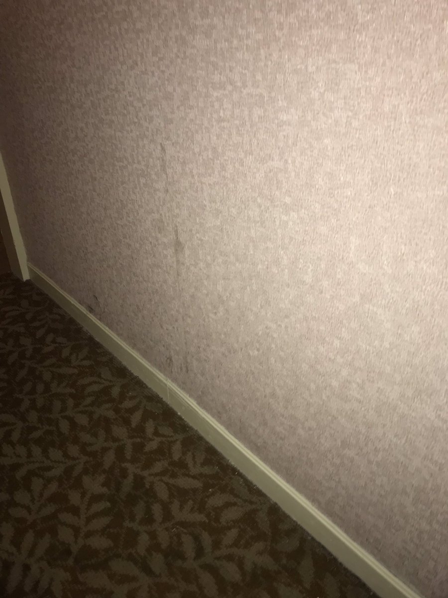 emilysarves's tweet image. This is just from me walking to one side of the 2nd floor to the other #digusting @ShangriLaGSH