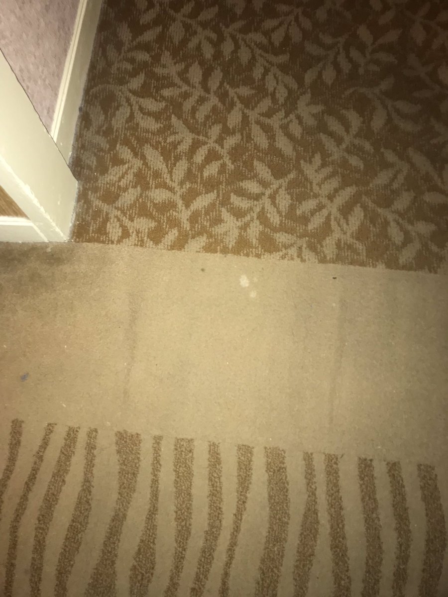 emilysarves's tweet image. This is just from me walking to one side of the 2nd floor to the other #digusting @ShangriLaGSH