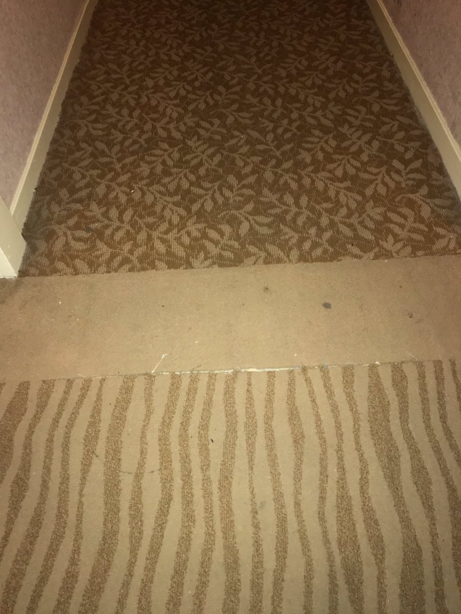 emilysarves's tweet image. This is just from me walking to one side of the 2nd floor to the other #digusting @ShangriLaGSH