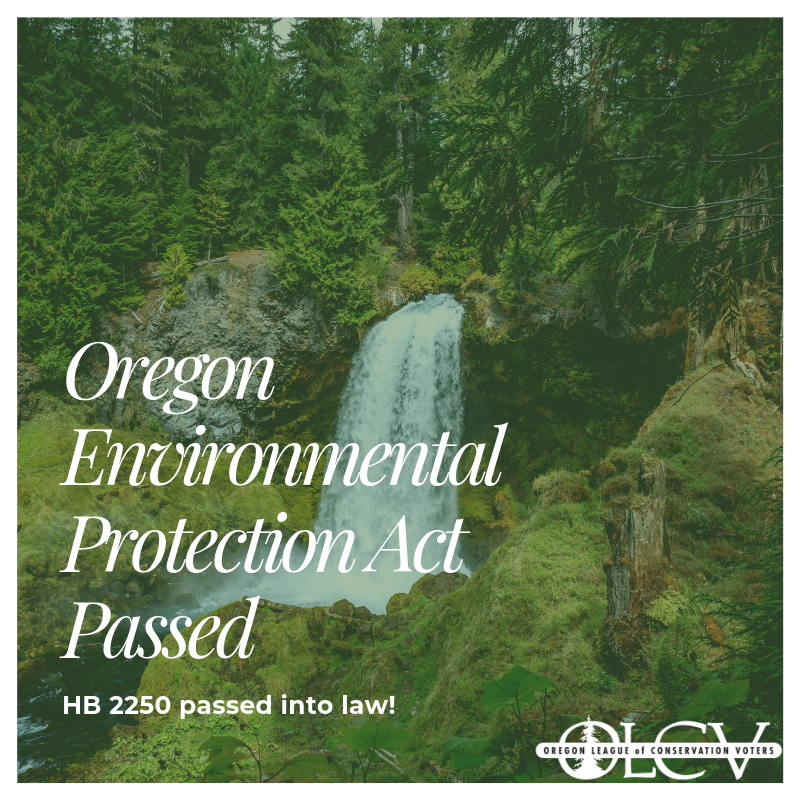 OLCV's tweet photo. The Oregon Environmental Protection Act will hold Oregon to a high standard of clean air and clean water laws, even if the laws are weakened at the federal level. #OREPA #orpol #orleg https://t.co/axxidFyZq1