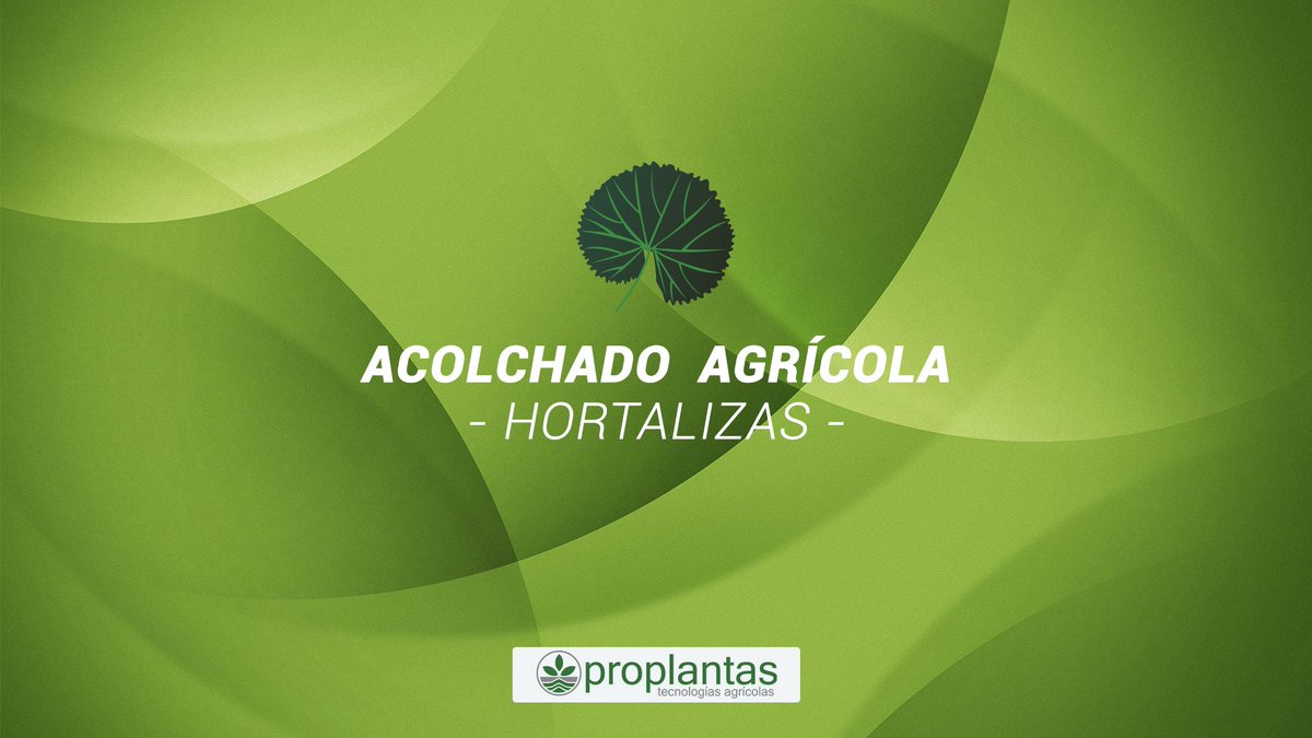 Proplantas tweet media