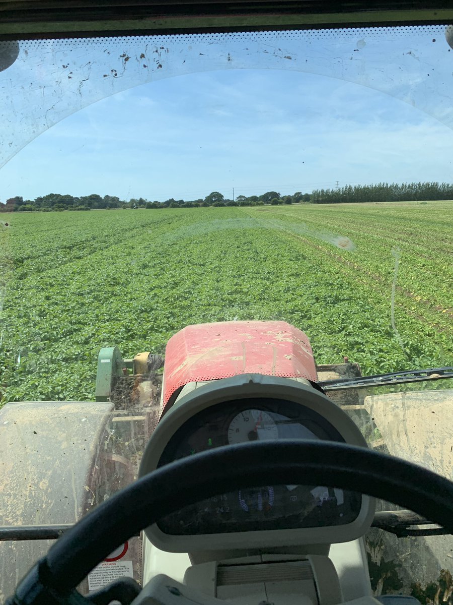 james7550's tweet photo. #more of this #2019season of #Charlotte #potatoes going under the chop #Greenseedinternational #westsussex #masseyferguson #baselier https://t.co/VGHPfMBImt