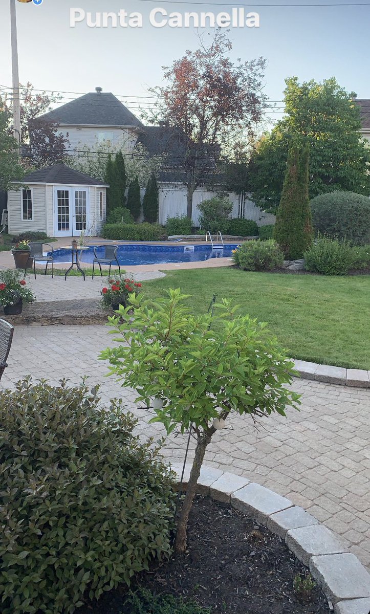 DailyFDtalk's tweet image. My happy place. Why pay for a resort when you got one in your backyard!! #puntacannella