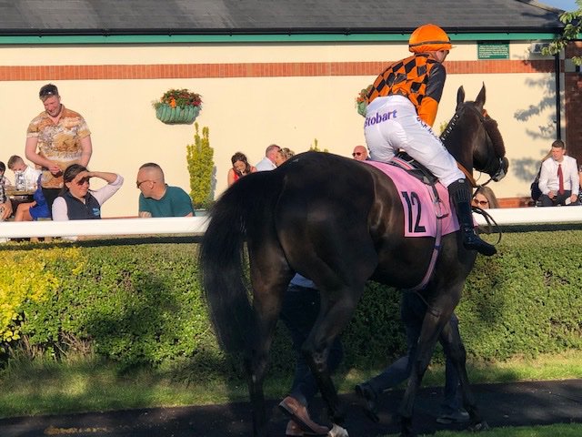 Ne1Racing's tweet photo. Trip to Carlisle on Saturday was great fun, a few of our awesome members made the trip across and we managed 4th place with one of our horses Lukoutoldmakezbak! Days out with great people make it all worthwhile! https://t.co/XLeE4DlxJK #members#racehorseownership#horse https://t.co/bt3ml1AI0o