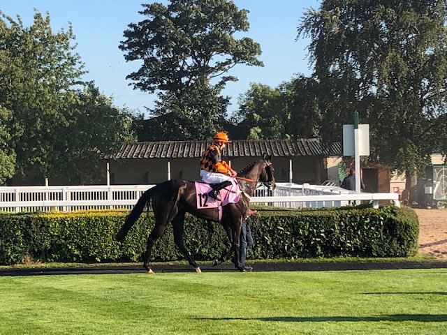 Ne1Racing's tweet photo. Trip to Carlisle on Saturday was great fun, a few of our awesome members made the trip across and we managed 4th place with one of our horses Lukoutoldmakezbak! Days out with great people make it all worthwhile! https://t.co/XLeE4DlxJK #members#racehorseownership#horse https://t.co/bt3ml1AI0o